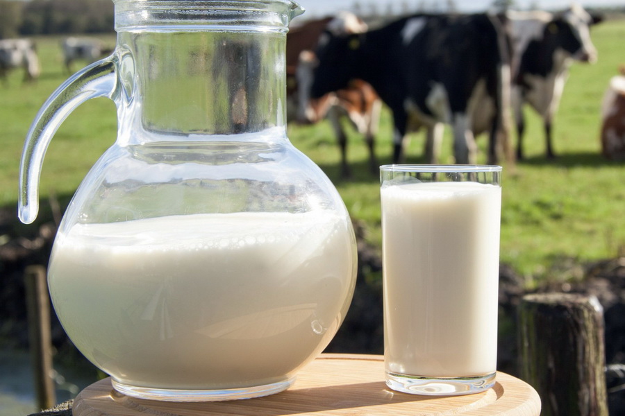 Восстановленное молоко больше не будут помечать маркировкой «молочный напиток»