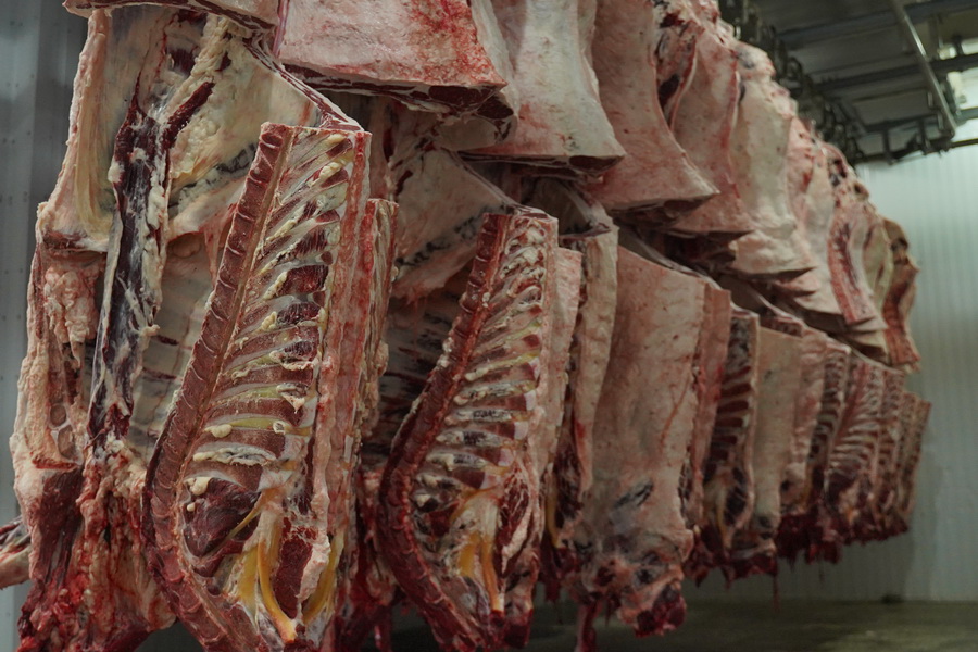 Казахстан ведёт переговоры о поставках говядины в Турцию