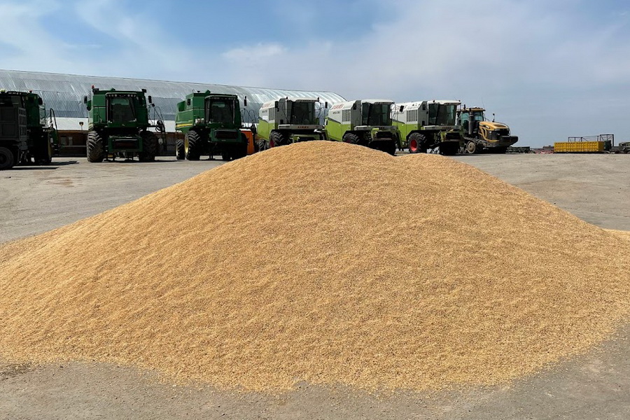 Запасы зерна предлагают пересчитать в Казахстане