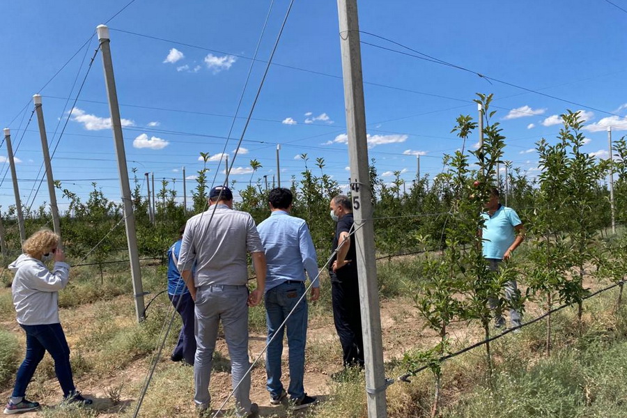 Разбить сад и запустить переработку фруктов планирует турецкая компания в Казахстане