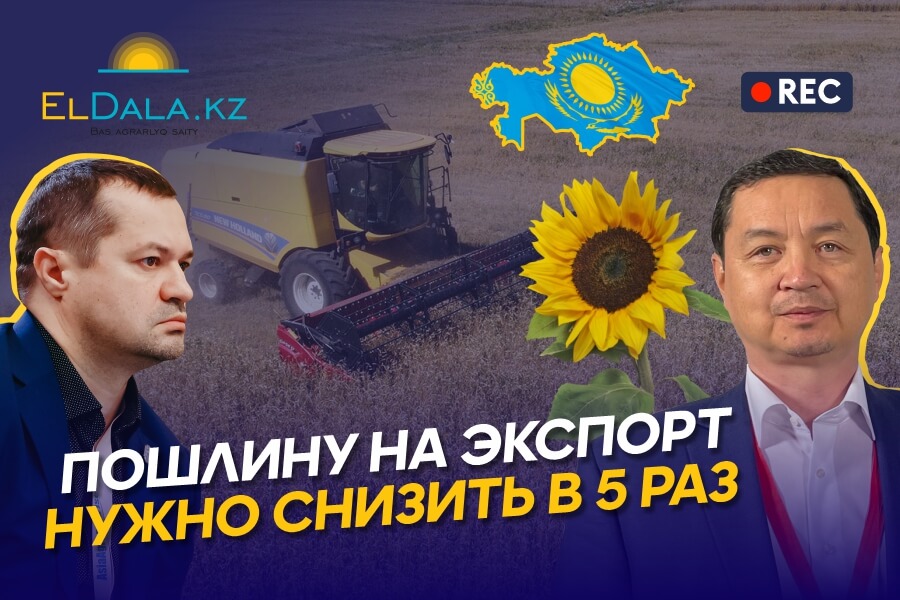 Рынок зерновых и масличных в Казахстане 2023: запреты, ограничения, квоты