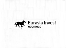 Евразия-Инвест