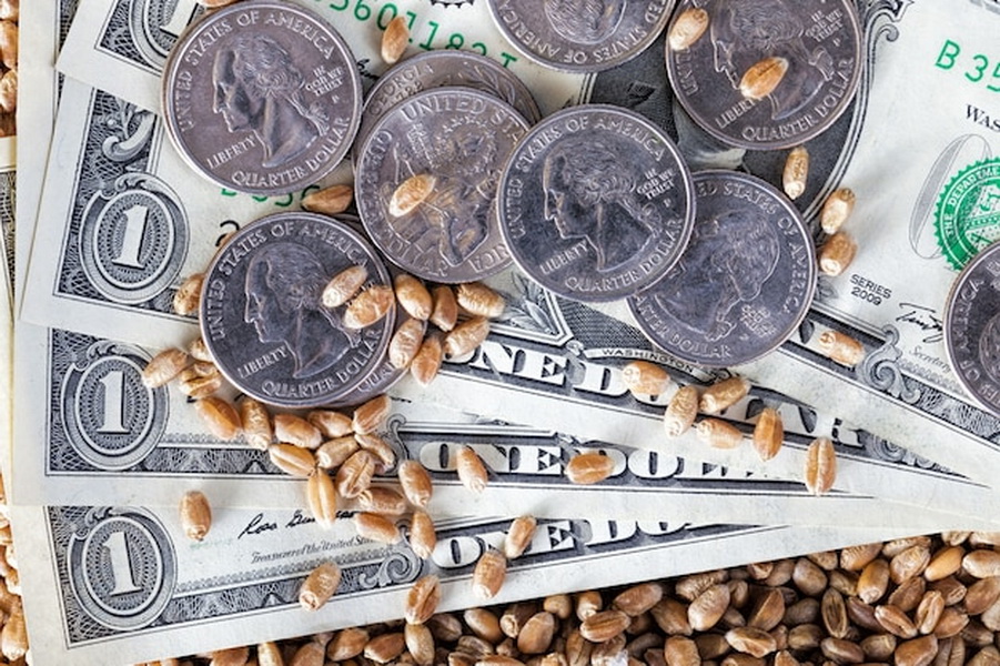Курс доллара снизился на 17 тенге за месяц, в России дешевеет пшеница