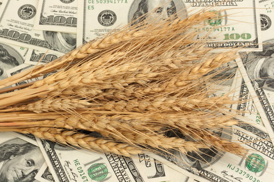 Тенге дешевеет к доллару, экспортная пошлина на пшеницу в РФ снижается