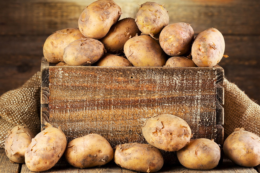 В России предупредили о дефиците картофеля в 2022 году