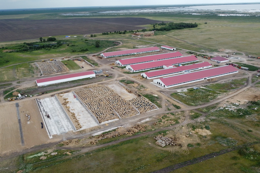 Как строится крупнейшая молочная ферма Казахстана. АгроКараван Молоко 2023, день 3