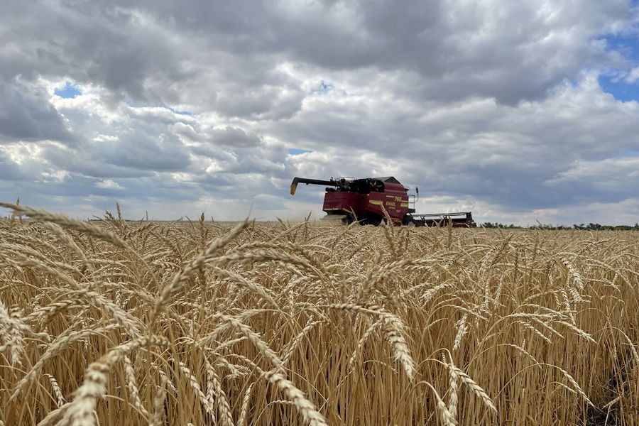 Казахстан собрал самый высокий урожай зерна за 10 лет - 21,8 млн тонн