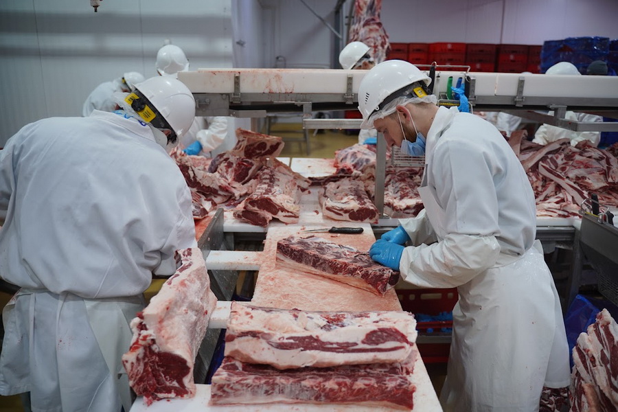 Акмолинская область увеличила производство мяса на 25% за год