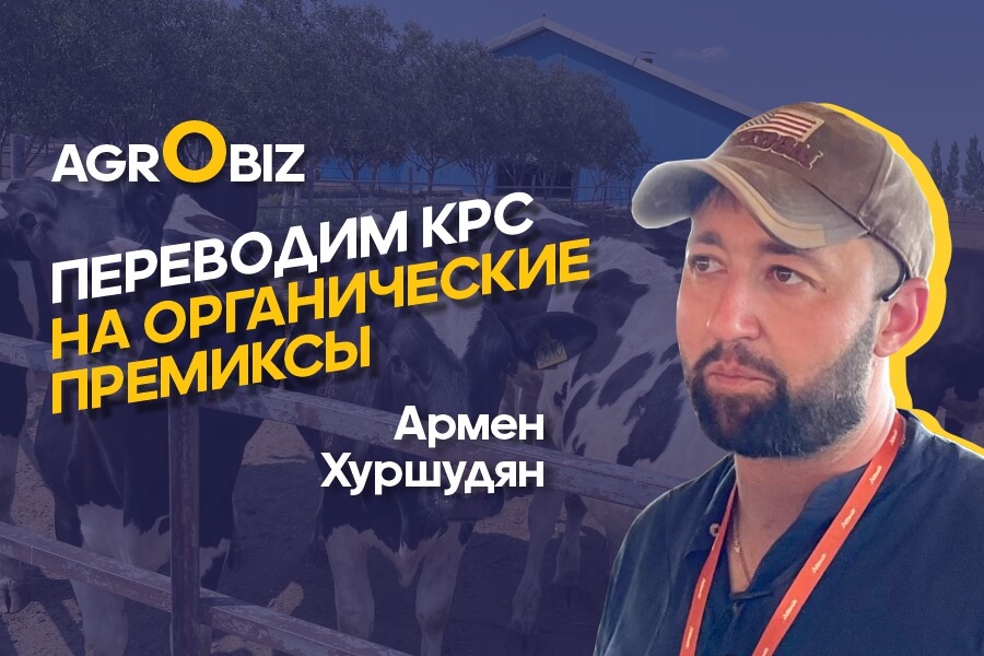 Чем кормить коров и как сделать качественный корм для КРС в Казахстане?