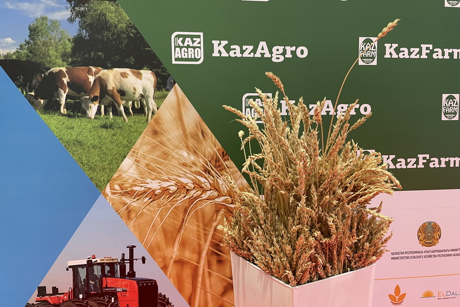 Производство молока и органики обсудят на KazAgro/KazFarm