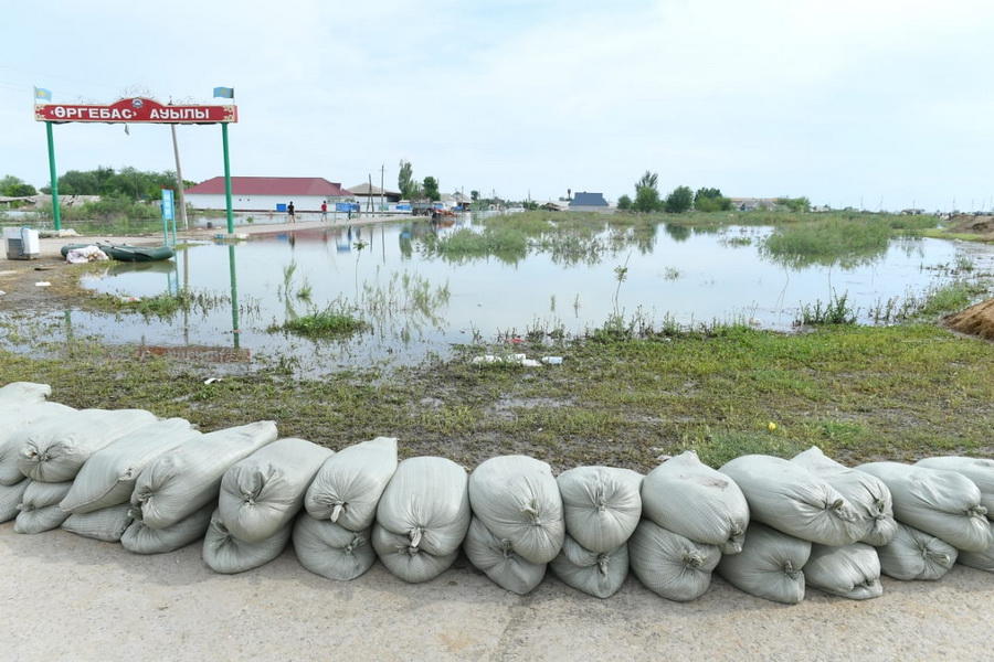 Жителям Мактааральского района выплатили компенсацию за гибель скота из-за наводнения