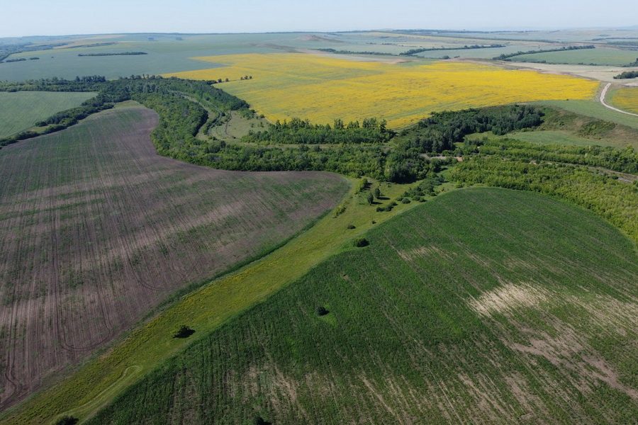 Фермеры смогут инициировать проведение земельных конкурсов в Казахстане