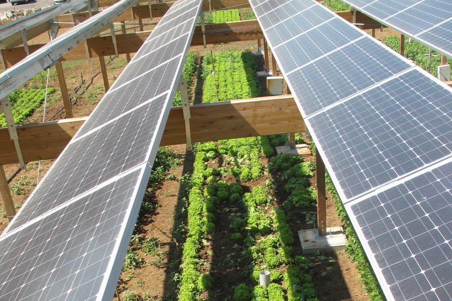 В Казахстане создана лаборатория тестирования солнечных панелей для ферм