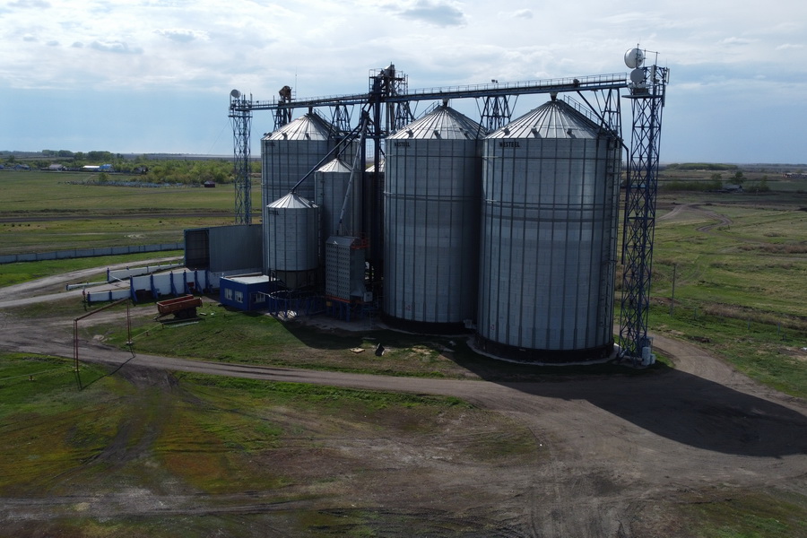 Запасы зерна в Казахстане составляют 4,2 млн тонн