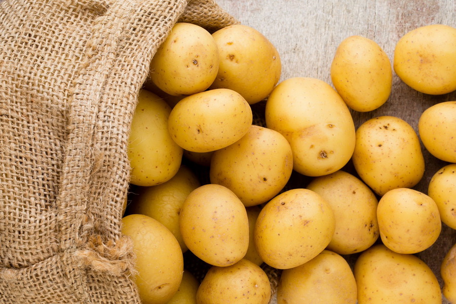 Казахстан ежегодно экспортирует 300 тыс. тонн картофеля