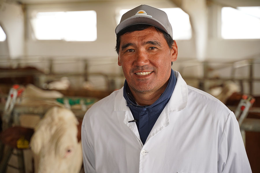 Когда Казахстан обеспечит себя молоком. Агрокараван Молоко 2021, день 14