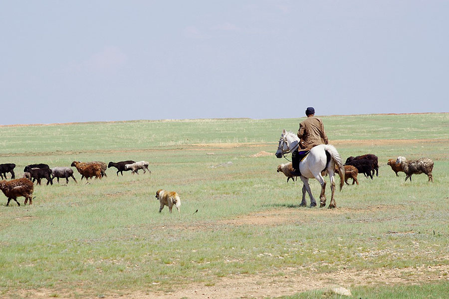Алмасбек Садырбаев: Казахстану необходима частная собственность на землю