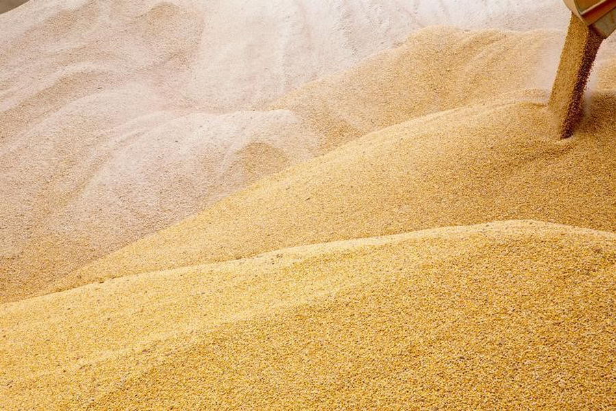 В Минсельхозе прокомментировали предложение России ограничить экспорт зерна
