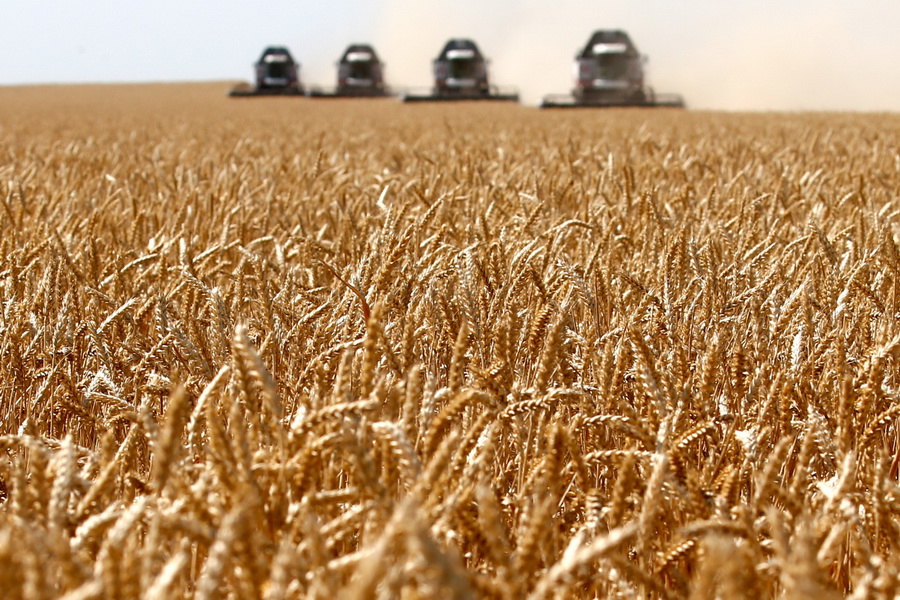 МСХ прогнозирует сбор зерна на уровне 15,3 млн тонн