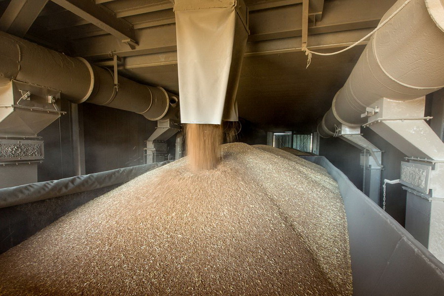 В РК планируют построить лабораторию по термальной обработке зерна