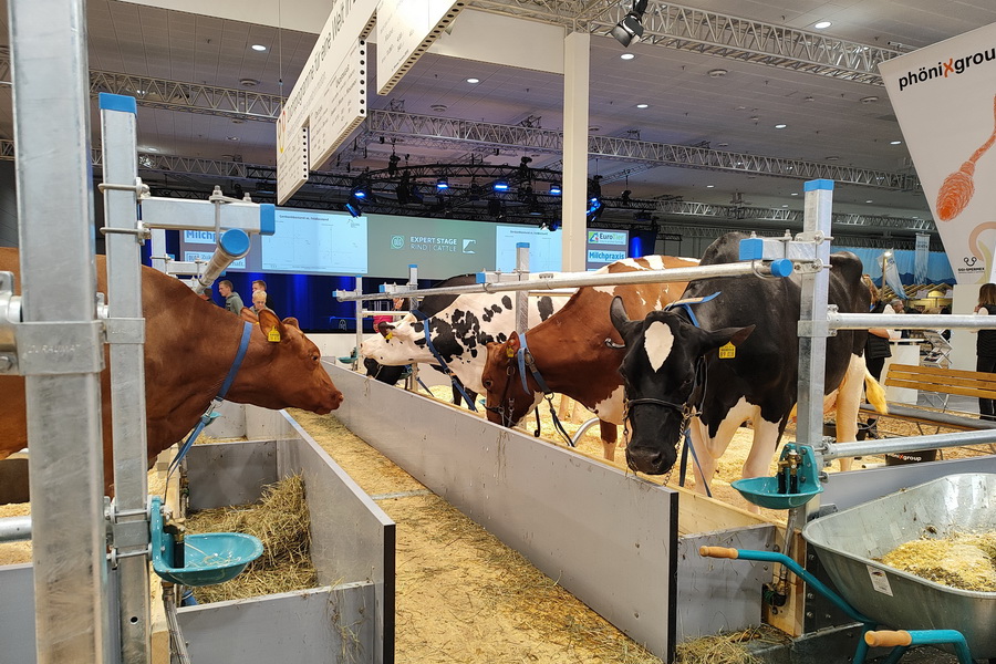 Открыта продажа билетов на выставку EuroTier 2026