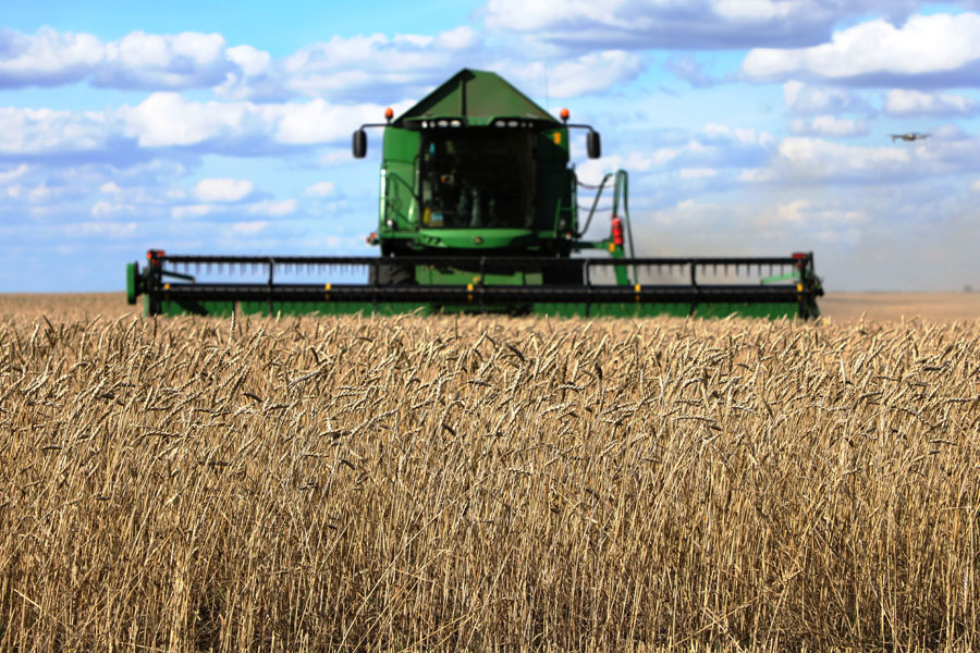 В Казахстане 5,5 млн тонн некачественного зерна