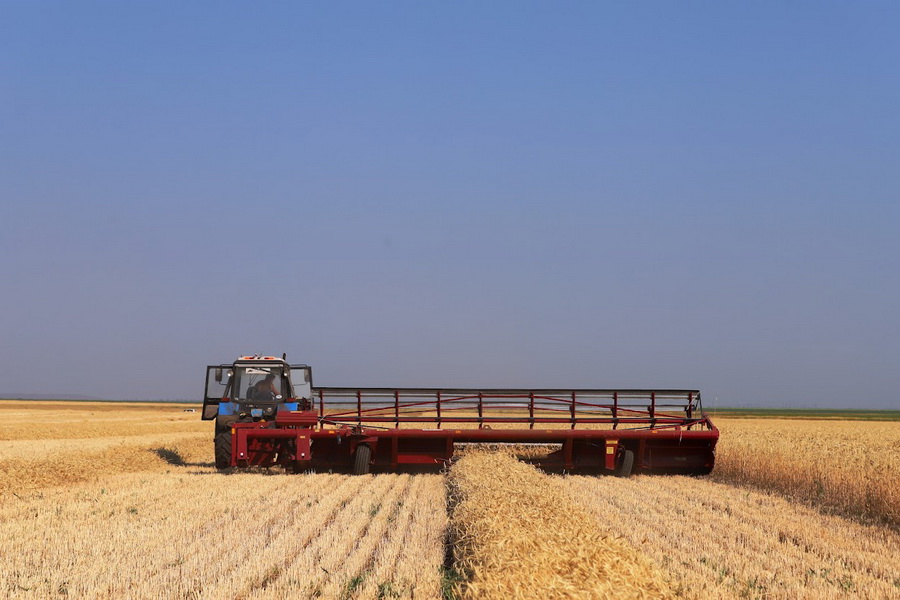 Новые правила субсидирования сельхозтехники разъяснили в Минсельхозе
