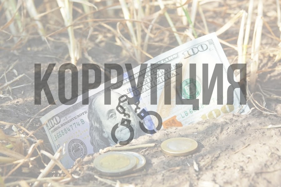 В Алматинской области похитили 50 млн тенге субсидий для фермеров