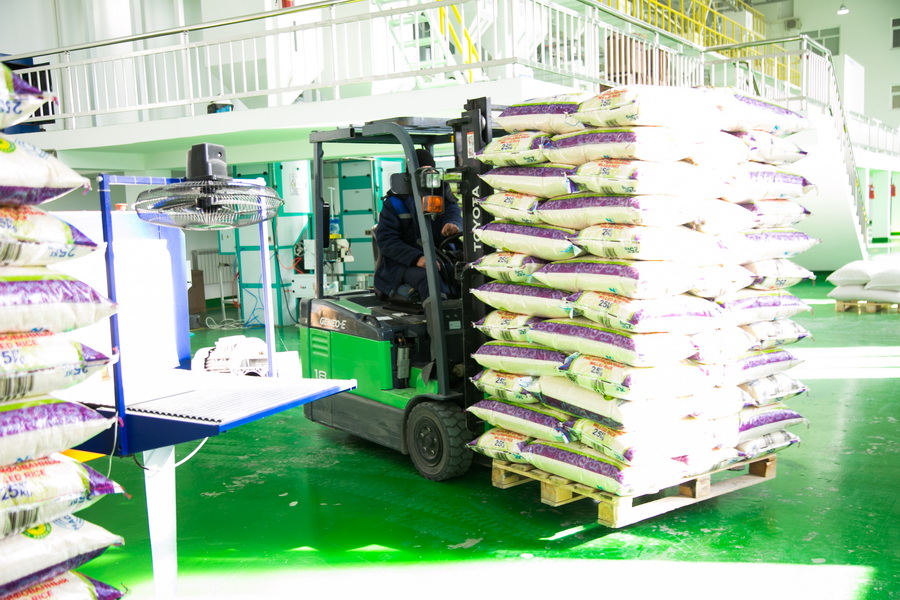 Кызылординская область наращивает производство и экспорт риса