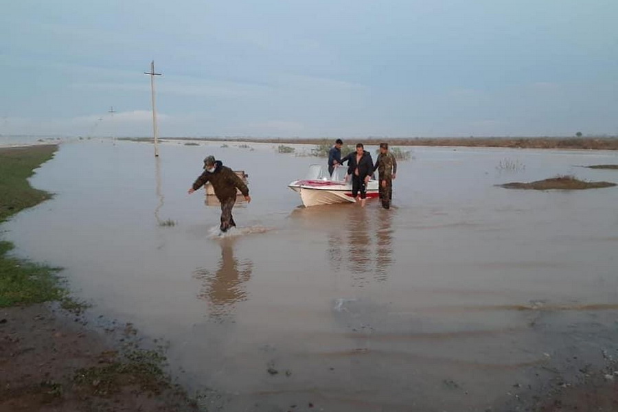 Посевы и скот погибли на юге РК из-за прорыва дамбы в Узбекистане