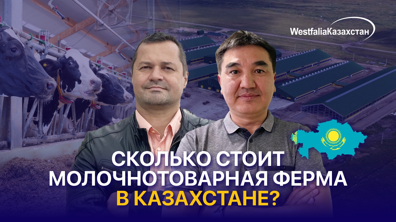 Қазақстандағы сүт саласы: қымбат кіру билеті бар табысты бизнес / Сансызбай Өмірбеков