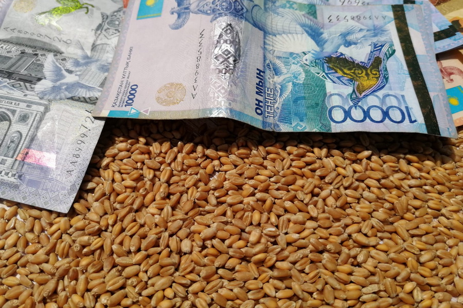 Экспортная цена проросшей пшеницы может вырасти до $200 за тонну
