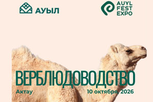 Auyl Fest. Верблюдоводство 2026