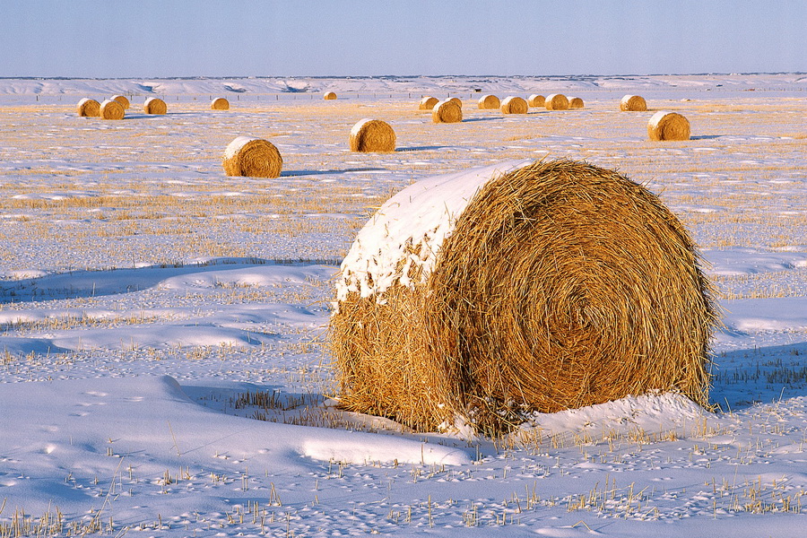 Синоптики прогнозируют cнежную зиму в Казахстане