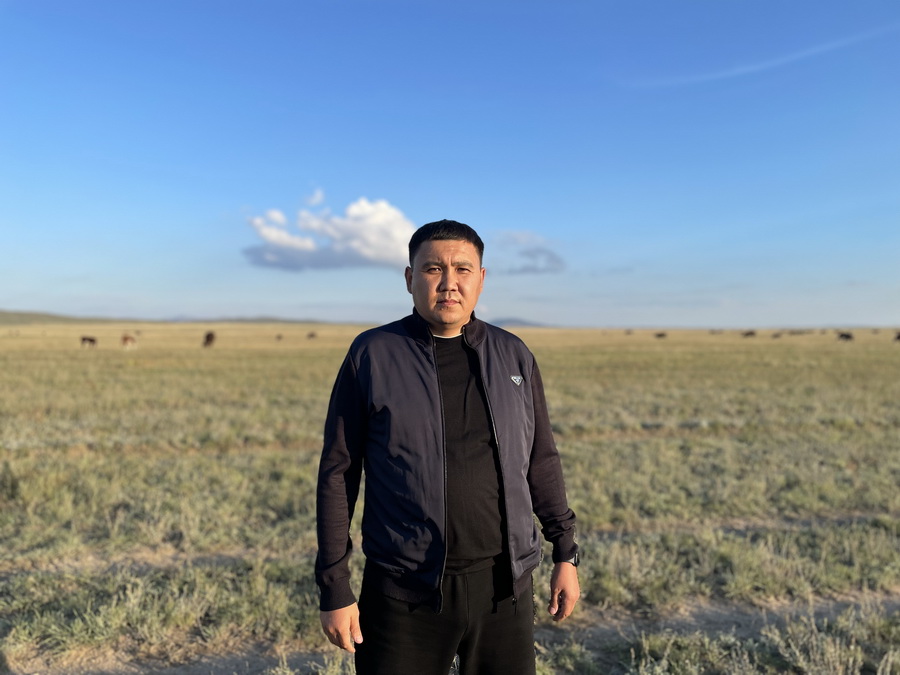 Запрет на экспорт скота сдерживает развитие племенного животноводства Казахстана 