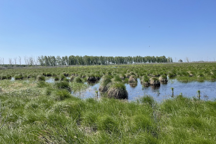 В Казахстане планируют изъять 5 млн га сельхозземель