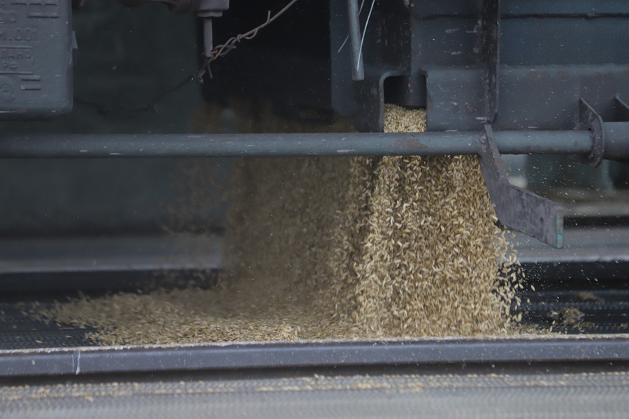 Астық Транс приостановил погрузку зерна на нескольких станциях