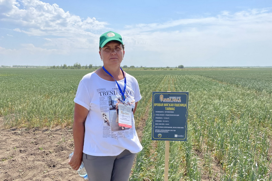 Чем казахстанские сорта пшеницы лучше европейских