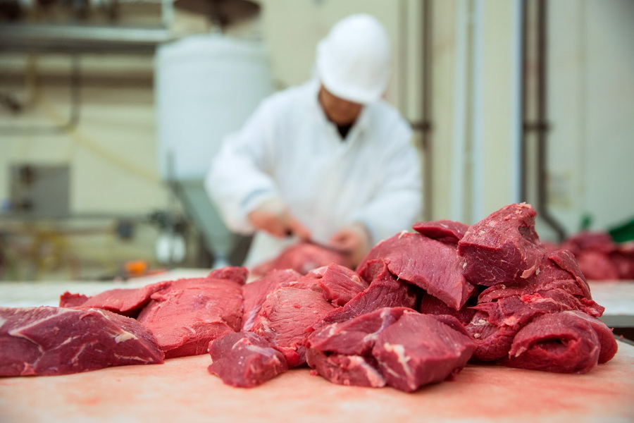 В ЕАЭС прогнозируют 15-кратный рост экспорта говядины за три года