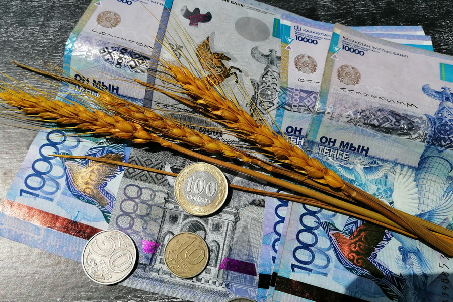 Полный запрет на импорт российской пшеницы и введение экспортной пошлины на собственное зерно рассматривает Казахстан