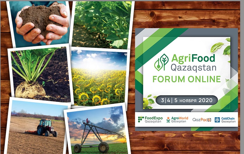 Текстовая трансляция онлайн-форума AgriFood