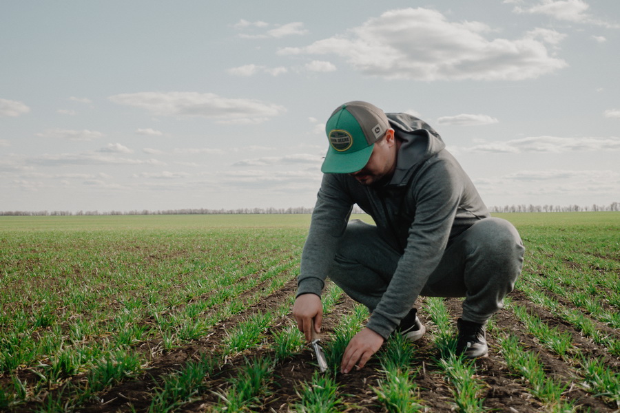 С проблемами финансирования сева столкнулись фермеры Казахстана