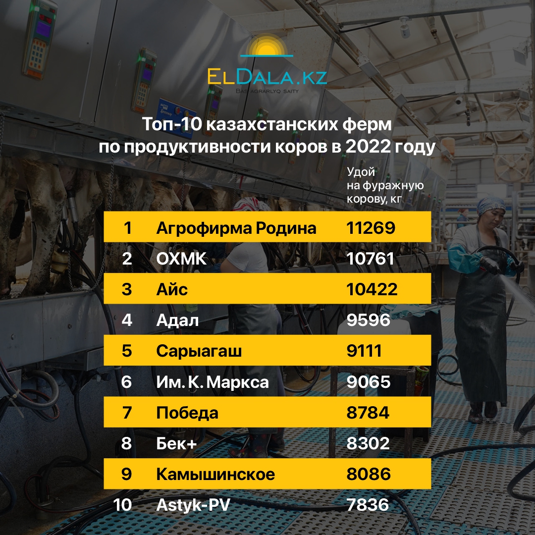 Топ-10 казахстанских ферм по продуктивности коров в 2022 году