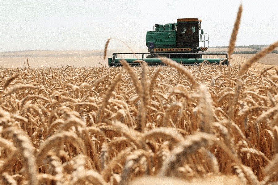 В Казахстане намолочено 11,7 млн тонн зерна