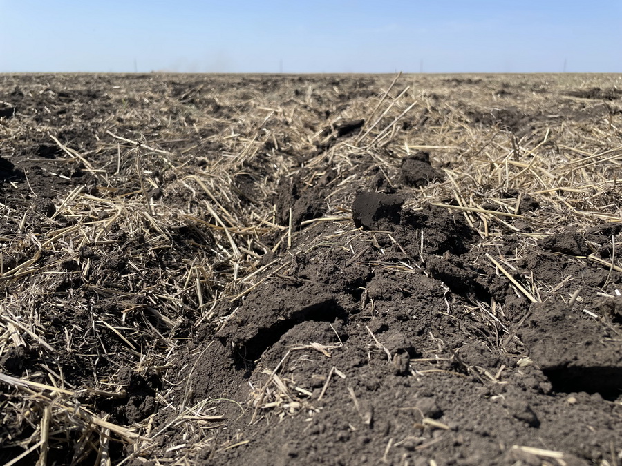 В Казахстане деградировано более 20% земель