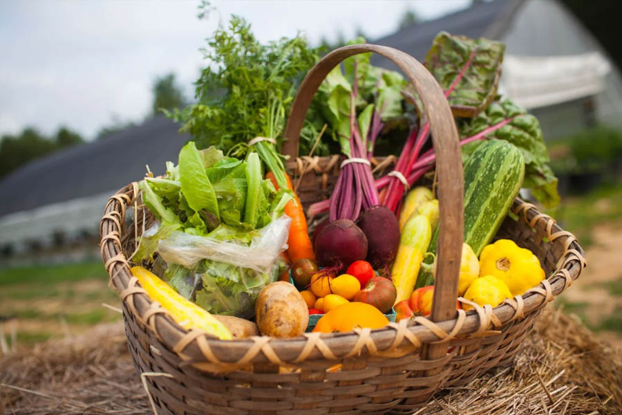 В ЕАЭК сформируют единый рынок органической сельхозпродукции