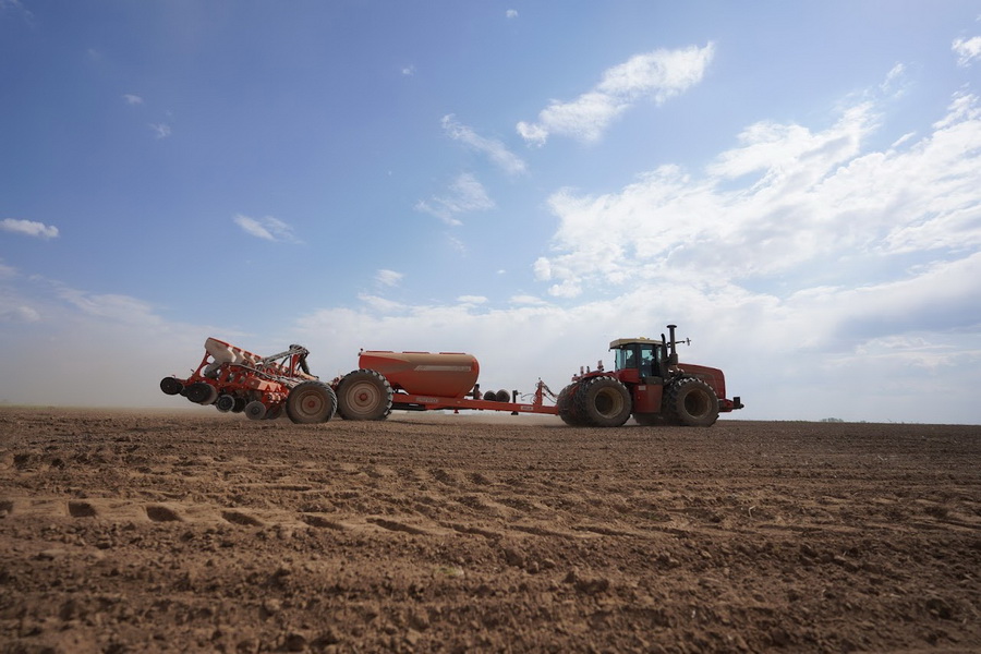 Казахстан сокращает посевы пшеницы