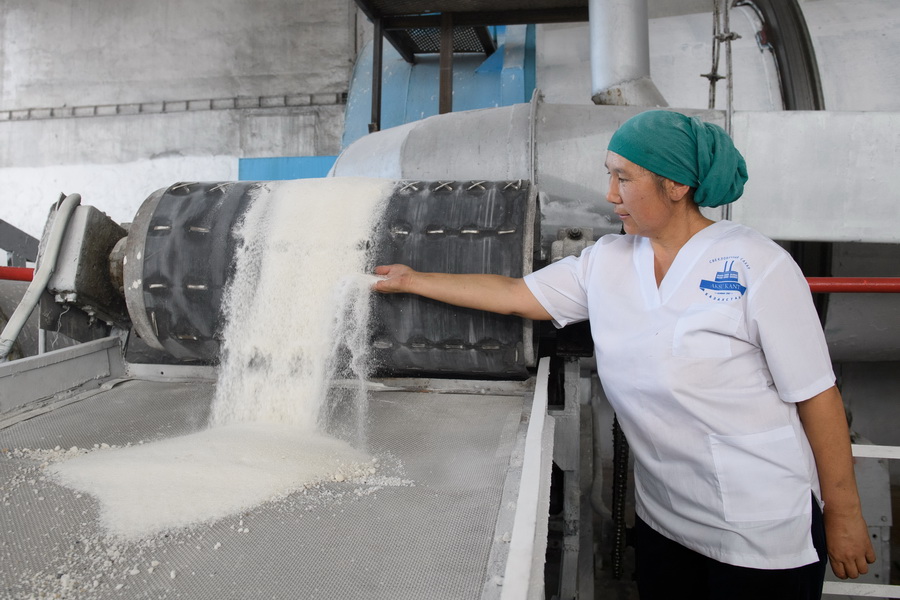 Два новых производства планируют открыть на базе Аксуского сахарного завода