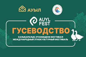 Auyl Fest. Гусеводство 2.0