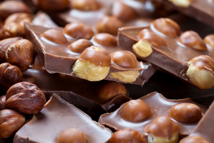 Турецкие инвесторы запустили производство шоколада в Алматинской области